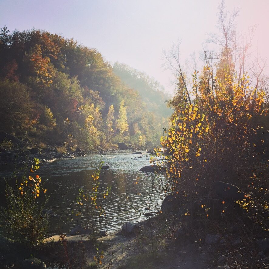 Il Torrente Enza in autunno, con i boschi accesi dalla luce del mattino