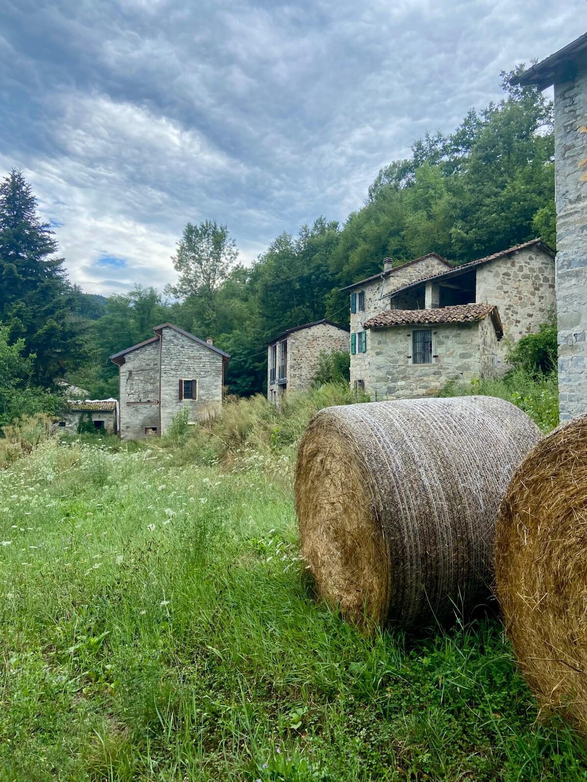 Natura e vegetazione presso il Torrente Enza