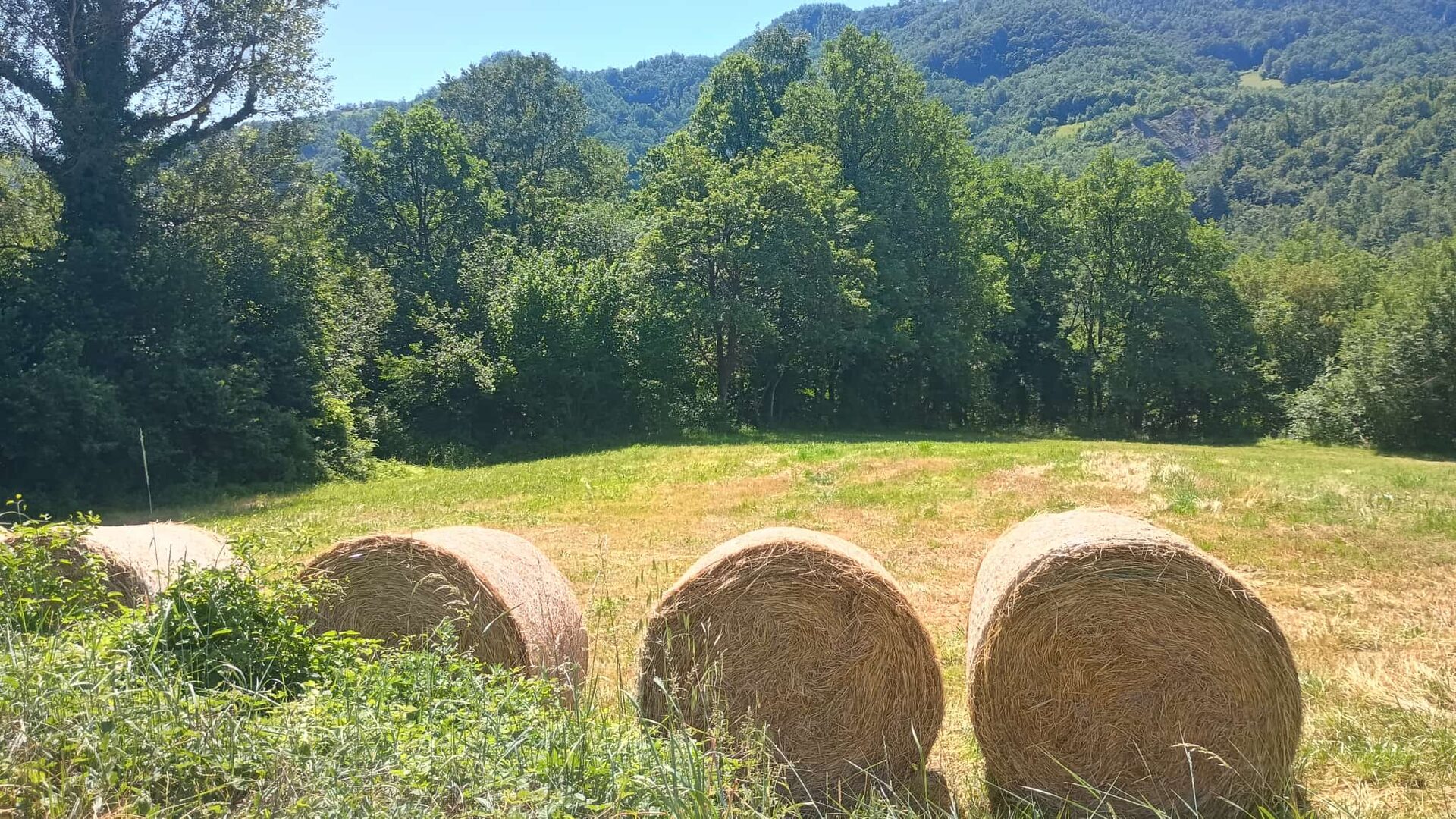Veduta panoramica del borgo rurale di La Mora